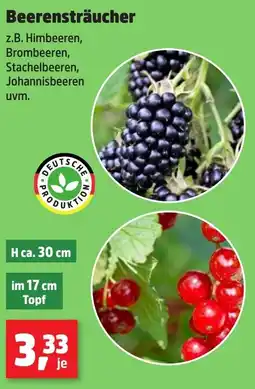 Thomas Philipps Beerensträucher Angebot