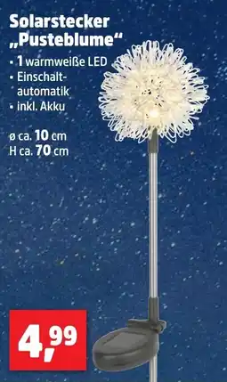 Thomas Philipps Solarstecker ,,Pusteblume Angebot