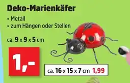 Thomas Philipps Deko-Marienkäfer Angebot