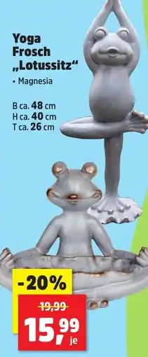 Thomas Philipps Yoga Frosch ,,Lotussitz Angebot