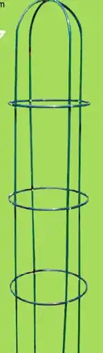 Thomas Philipps Rank- obelisk Angebot