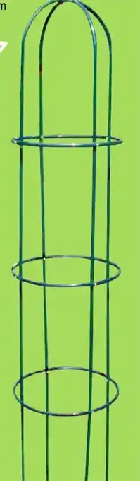 Thomas Philipps Rank- obelisk Angebot
