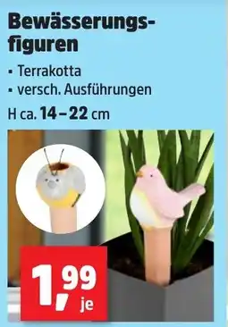 Thomas Philipps Bewässerungs- figuren Angebot