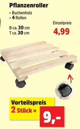 Thomas Philipps Pflanzenroller Angebot