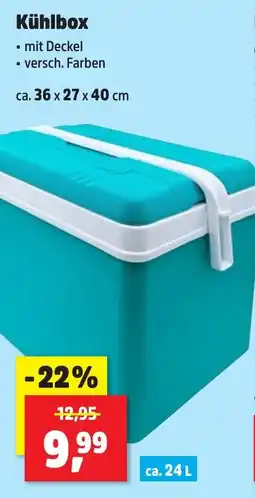 Thomas Philipps Kühlbox Angebot