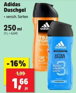Thomas Philipps Adidas Duschgel Angebot