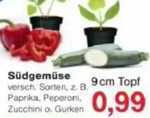 Jawoll Südgemüse Angebot