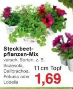 Jawoll Steckbeet- pflanzen-Mix Angebot
