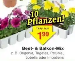 Jawoll Beet- & Balkon-Mix Angebot