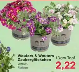 Jawoll Wouters & Wouters Zauberglöckchen Angebot
