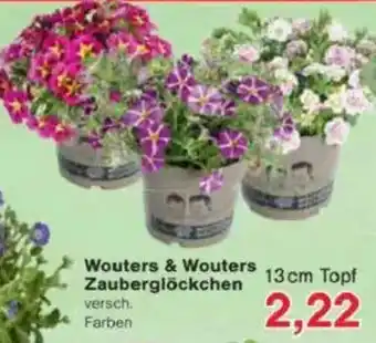 Jawoll Wouters & Wouters Zauberglöckchen Angebot