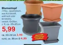 Jawoll Blumentopf Angebot