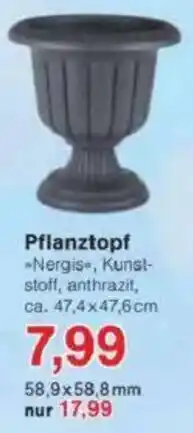 Jawoll Pflanztopf Angebot