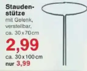 Jawoll Stauden- stütze Angebot