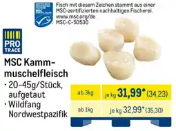 METRO MSC Kamm- muschelfleisch Angebot