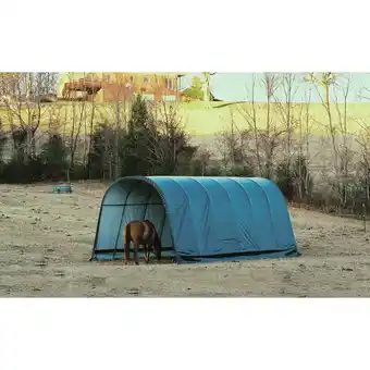 Netto Marken-Discount ShelterLogic Weidezelt Run-In-Shed 29,2m² Angebot