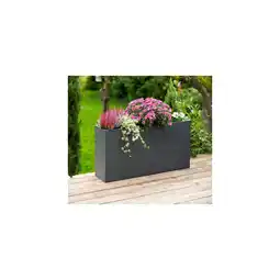 Netto Marken-Discount Westmann Metall Pflanzkübel Talus L Anthrazit 25x100x52cm Angebot