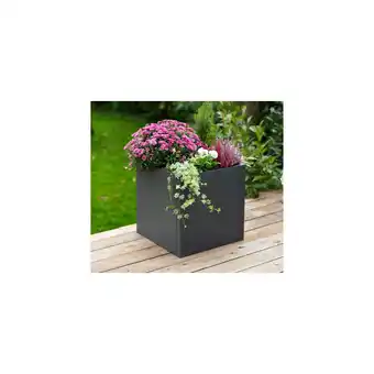 Netto Marken-Discount Westmann Metall Pflanzkübel Talus S Anthrazit 50x50x50cm Angebot