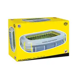 Netto Marken-Discount Wehncke BVB Family Pool 2 Ringe Angebot