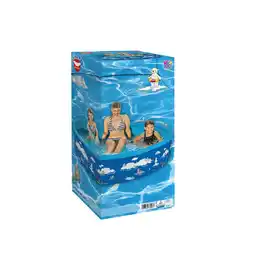 Netto Marken-Discount Wehncke Arctic Friends Fix-Planschbecken Angebot