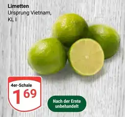 Globus Limetten Angebot