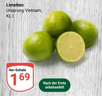 Globus Limetten Angebot