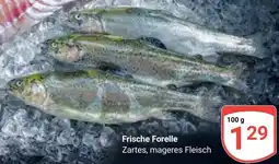 Globus Frische Forelle Zartes Angebot