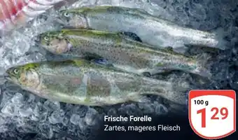 Globus Frische Forelle Zartes Angebot