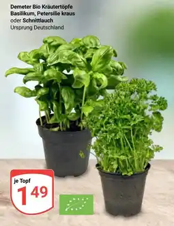 Globus Demeter Bio Kräutertöpfe Basilikum, Petersilie kraus oder Schnittlauch Angebot