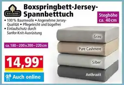 Norma Boxspringbett-Jersey- Spannbetttuch Angebot