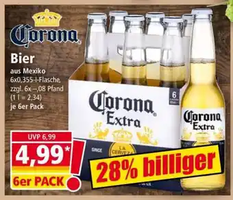 Norma Corona Bier Angebot