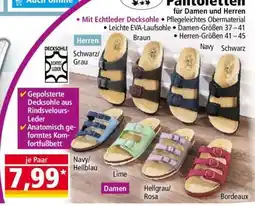 Norma Pantoletten Angebot