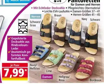 Norma Pantoletten Angebot