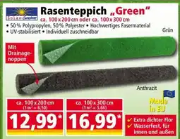 Norma Rasenteppich „Green“ Angebot