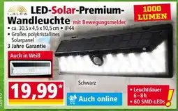 Norma LED-Solar-Premium- Wandleuchte Angebot