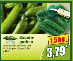 Norma Bauerngurken Angebot