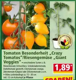 Norma Tomaten Besonderheit „Crazy Tomatos“/Riesengemüse „Giant Veggies“ Angebot