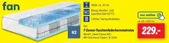 Lidl fan 7-Zonen-Taschenfederkernmatratze Angebot