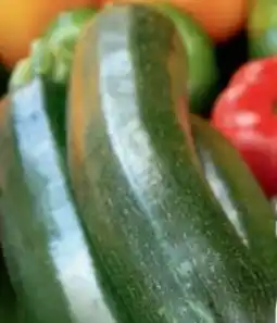 B1 Discount Baumarkt Zucchini Pflanzen Angebot