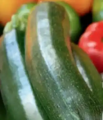 B1 Discount Baumarkt Zucchini Pflanzen Angebot
