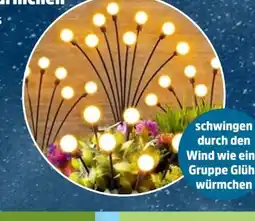 Thomas Philipps LED Solar Glühwürmchenlichter Angebot