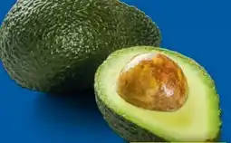 Lidl Avocado Angebot
