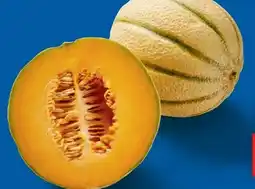 Lidl Cantaloupemelone Angebot