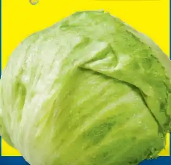 Lidl Eisbergsalat Angebot