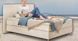 Trends Möbel Sansibar Boxspringbett Svendborg Angebot
