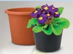 Trends Möbel Pflanzgefäß Casa Angebot