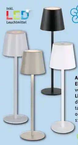 Trends Möbel Akku-Tischleuchte Euria Angebot