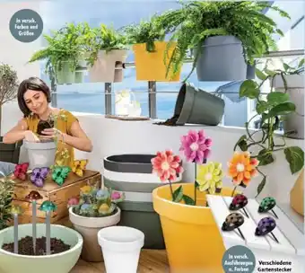 Trends Möbel Pflanztopf Gardino Angebot