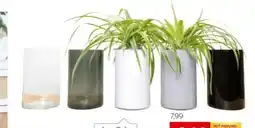 XXXLutz Ambia Glas-Vase Angebot