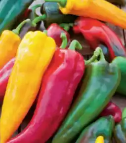 toom Baumarkt Paprika Sumher Angebot